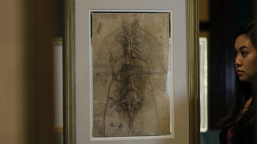Leonardo da Vinci do detailu zmapoval lidské tlo