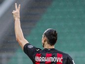 Zlatan Ibrahimovic vstelil ptistý gól
