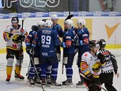 Hokejisté Plzn slaví branku do sít Litvínova.