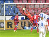 Utkání 18. kola první fotbalové ligy: Viktoria Plze - Slovan Liberec, 6. února...