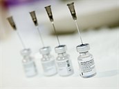 Dezinformátorům slouží k podkopávání vakcín zavádějící prezentace faktů, ohlas je obrovský