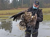 tyi mrtvé orly moské nali 6. února 2021 ekologové na jednom míst blízko...