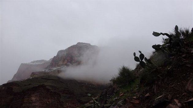 Je takov� zima, �e se kaktusy houfuj� k odletu do tepl�ch krajin