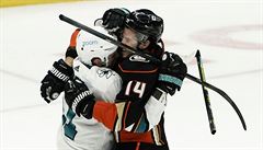 Radim �imek v zápase proti Anaheimu. San Jose podlehli v Anaheimu 1:2 po...