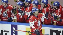 Čeští hokejisté se radují ze vstřelené branky.