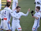 Utkání 19. kola první fotbalové ligy: FK Mladá Boleslav - FC Viktoria Plze,...