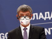 Premiér Andrej Babi na tiskové konferenci po schzce se srbskou premiérkou...