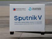 Úinnost ruské vakcíny Sputnik V dosáhla 91,6 procenta.
