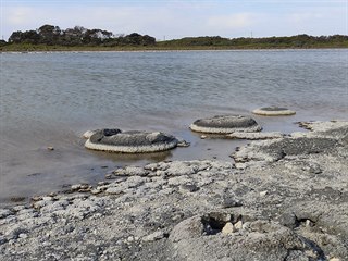 Jezero Thetis a stromatolity