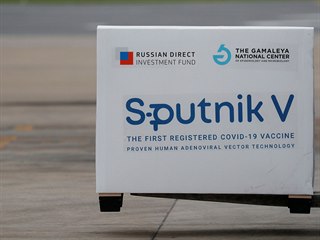 innost rusk vakcny Sputnik V doshla 91,6 procenta.