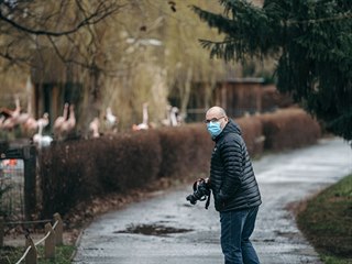 editel Zoo Praha v dob pandemie.
