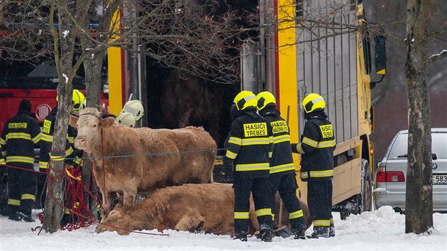 Zvata se dostala z parkoviti u koupalit Flona a a na sdlit v Malovicch.