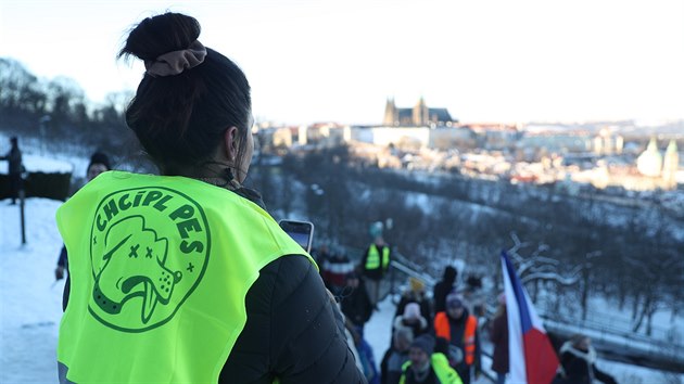 Demonstrace v Praze proti vl�dn�m koronavirov�m restrikc�m pod hlavi�kou iniciativy Chc�pl PES.