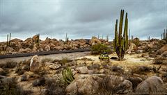 Mexiko - ob�í kaktusy