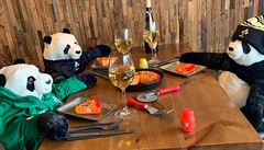 Irská restaurace zav�ená kv�li covidu nahradila zákazníky pandami