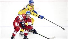 eská reprezentace vstoupila do tetího turnaje EHT prohrou. 