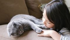 Matka s dcerou nakazily kotě covidem. Domácí mazlíčci s příznaky musí na testy, reaguje vláda v Koreji