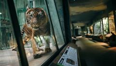 Zoo Praha v dob� pandemie.