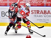Utkání 46. kola hokejové extraligy: HC Dynamo Pardubice - HC Ocelái Tinec,...