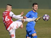 Utkání 20. kola první fotbalové ligy: FK Pardubice - Baník Ostrava, 20. února...