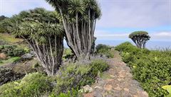Severozápad ostrova La Palma | na serveru Lidovky.cz | aktuální zprávy