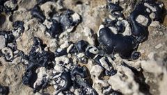 Pob�e�í zamo�ila ropa z neznámého plavidla.