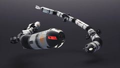 Odborníci doufají, e do roku 2027 jich bude na celém svt a padesát kus.