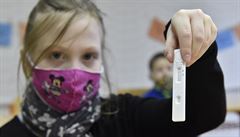 Plaga se snaží zajistit pro školy dostatek antigenních testů. SSHR má vypsat další soutěž