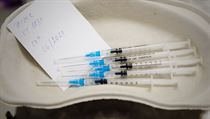 Injekce v libereckém očkovacím centru na covid