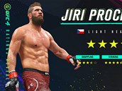 Jií Procházka v UFC