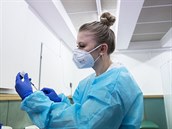 V Česku bylo proti covidu zatím naočkováno zhruba 485 tisíc lidí starších 70 let