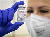Interval pro podání druhé dávky vakcíny Moderna se zkrátí, u Pfizeru zůstane stejný