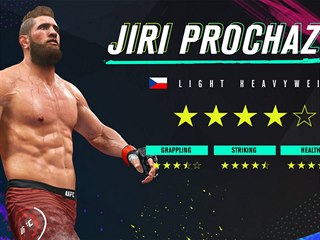 Jiří Procházka v UFC