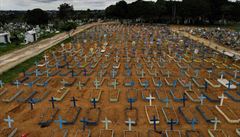 Masové hroby nechaly ú�ady vyhloubit ve m�st� Manaus.