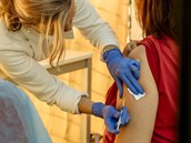 Termín očkování druhou dávkou vakcínou Pfizer si lidé mohou změnit. Volající v reakci zahltili covidovou linku