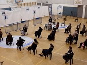 Ultraortodoxní �idovské �eny �ekají v rozestupech na o�kování na palestinském...