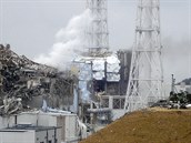 Vlna mimo jiné zpsobila havárii v jaderné elektrárn Fukuima.