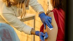Očkovací kampaň: Lidé se bojí délky vývoje látek či vedlejších účinků