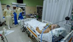 Morava zbrojí na p�íliv viru.