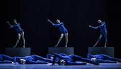 Phoenix - Puppet - Douglas Lee.