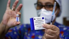 Rusko dokončilo testy varianty vakcíny Sputnik-Light, kdy stačí jen jedna injekce. Putin se nechá očkovat