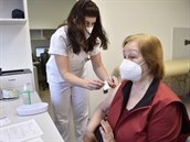 Po spuštění registrace pro lidi nad 65 let se k očkování přihlásilo už 70 tisíc zájemců