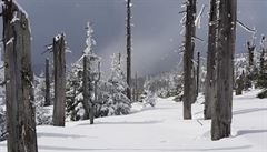 �umavská Kvilda. Teplotní rekord pro 21. b�ezen padl na 25 ze 153 stanic, které...