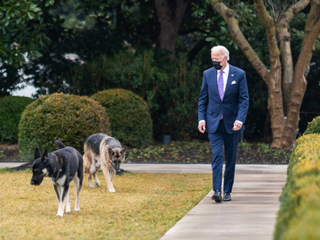 Joe Biden na prochzce s obma svmi psy - Majorem i Champem.
