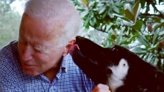 Americk� prezident Joe Biden se sv�m psem Majorem.