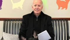 Major, psí miláek amerického prezidenta Joe Bidena.