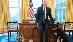 Major, psí miláek amerického prezidenta Joe Bidena.