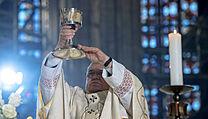 Prask arcibiskup Dominik Duka bhem me svat pi pleitosti oslav Zelenho...