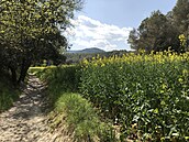 Cyklostezka nedaleko Banyoles prochází chrán�nou p�írodní lokalitou