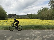 Krajina v okolí m�sta Banyoles je protkána cyklostezkami